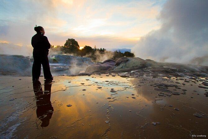 Tauranga Shore Excursion: Te Puia Maori Cultural Centre and Rotorua City Sightseeing - Itinerary Highlights