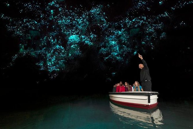 Tauranga Shore Excursion: Waitomo Caves and The Kiwi House - Itinerary Highlights