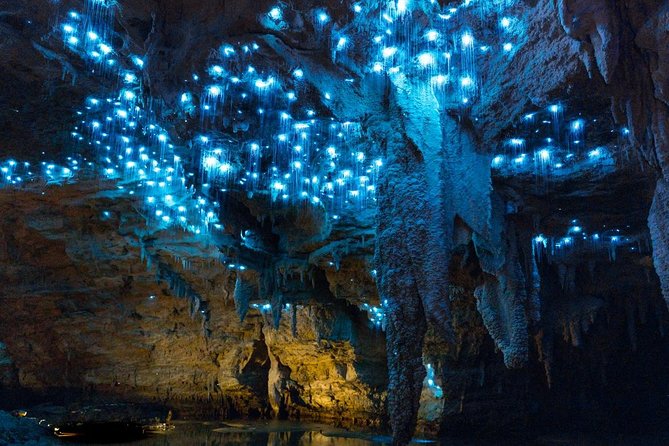 Tauranga - Waitomo : Ancient Glow-Worm Caves Shore Excursion - Health and Accessibility Considerations