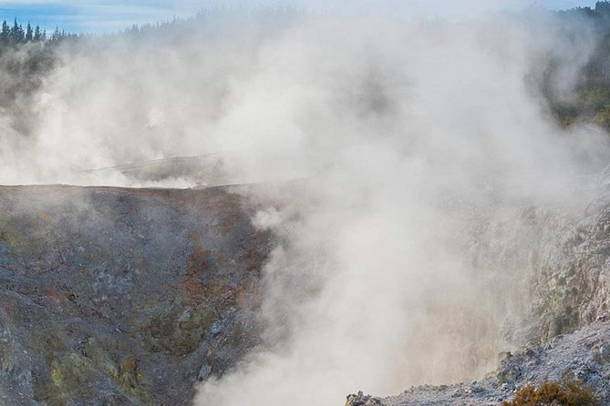 Tauranga - Wia O Tapu Wonderland & Rotorua Geysers: Private Tour - Meeting and Pickup Details