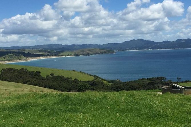 TāWharanui- Get Away From It All and Experience New Zealand at Its Best - Private Tour - Highlights of the Experience