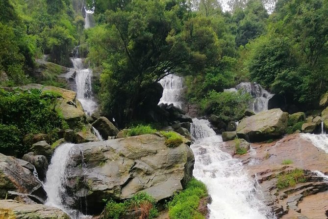 Tea Factories And Waterfalls Tour - Transportation and Accessibility
