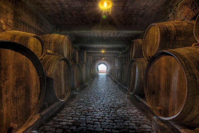 Tenerife Bodegas Monje Winery Tour With Wine and Cheese Tasting - Volcanic Soils and Flavors