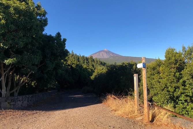 Tenerife Grand Tour: Including Teide National Park and Masca - Exploring Masca Village