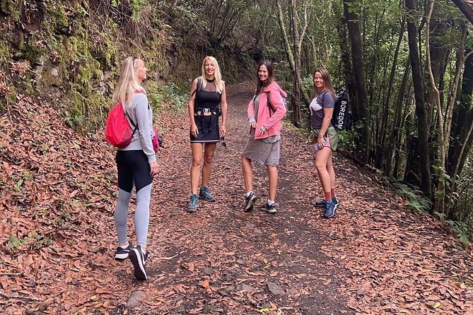 Tenerife: Hiking Through Enchanted Laurel Forest Above Masca - Hiking Route Highlights