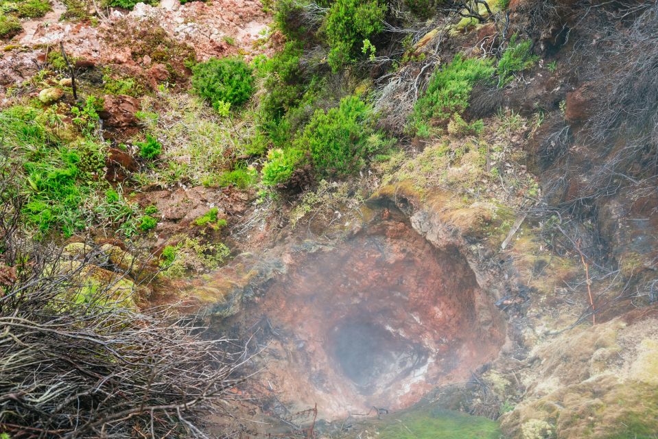 Terceira: Algar Do Carvão Lava Caves Tour - Pricing and Booking Options