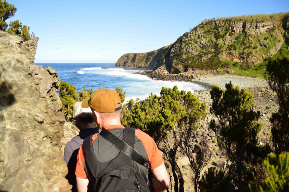 Terceira: Azores Half Day Hike - Pricing and Booking