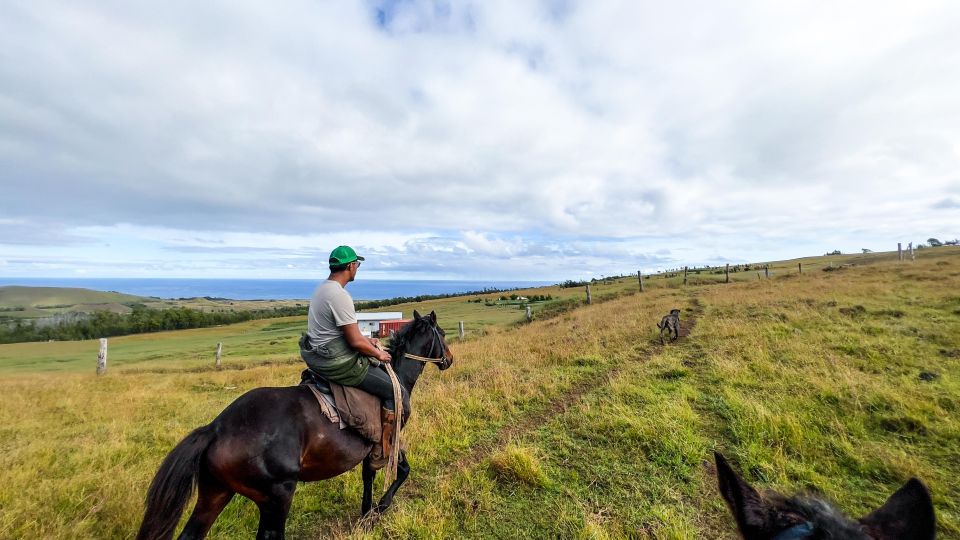 Terevaka Horse Excursion: the Highest Point and 360° View. - Experience Highlights