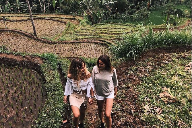 Tete Batu Tour (Temple, Terrace Rice, and Waterfalls) - Highlights of the Itinerary