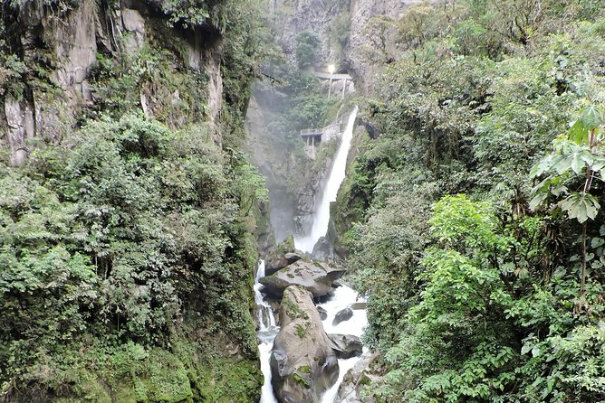The Best Pailon of Diablo and Tree House Tour. - Traveler Reviews and Ratings