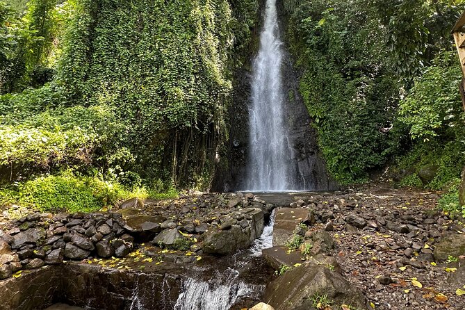 The Cascading Dark View Falls and Beach Experience With Topdawg Taxi and Tours - Tour Highlights and Activities