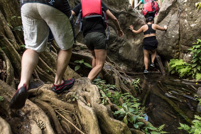 The El Yunque Rainforest and Bio Bay Kayaking Combo Tour - Exploring El Yunque Rainforest