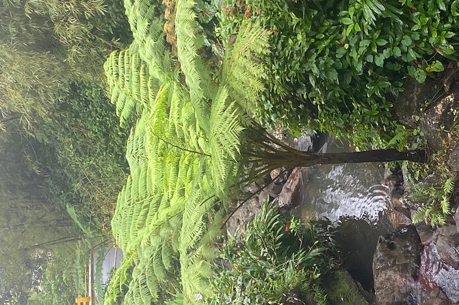 The El Yunque Rainforest Guided Day Tour From San Juan - Panoramic Views From Yocahu Tower