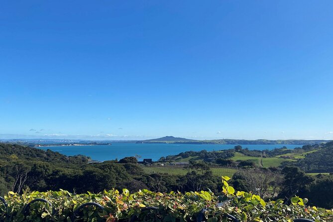 The Essence of Waiheke Wine Tour - Transportation Details