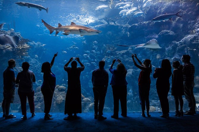 The Florida Aquarium in Tampa General Admission - Accessibility Options