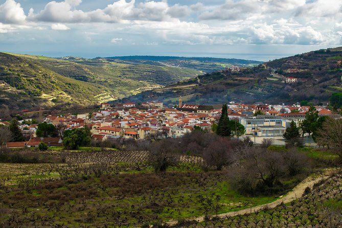 The Grape Escape: Troodos Mountains Thru Wine Small Group Tour 7hrs - Inclusions and Amenities