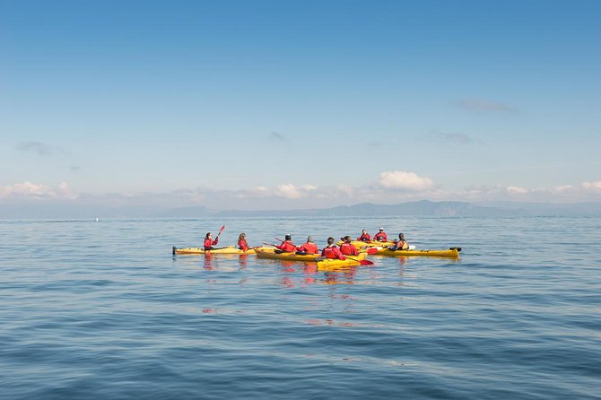 The Maori Carvings Half Day Kayak - Meeting and Arrival Details