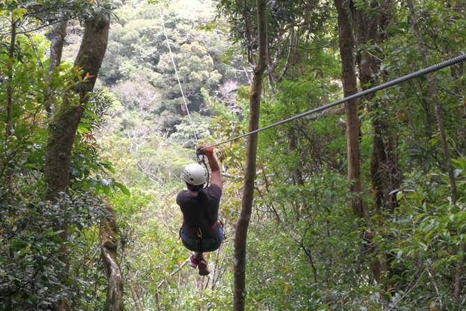 The Original Canopy Tour Monteverde, Zipline - Important Tour Logistics