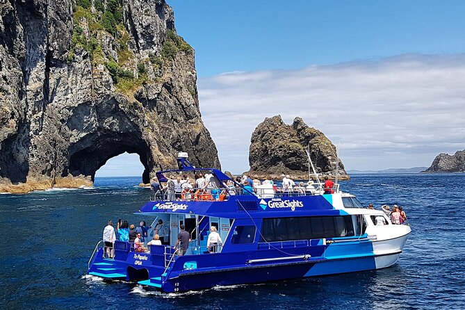 The Original Full Day Bay of Islands Cruise With Dolphins - Highlights of the Experience