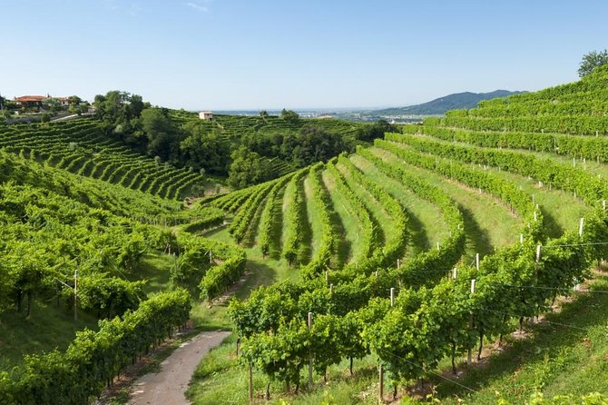 The Original Private Prosecco Tour All Inclusive From Conegliano - Inclusions and Amenities
