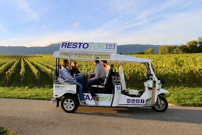 The Private Tuk Tuk Tour With One of the Best Fondues in Geneva! - Accessibility Options
