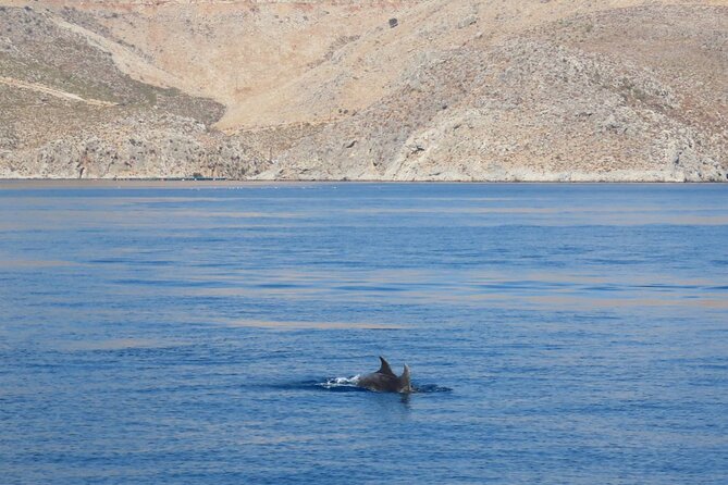 The Santa Maria Full-Day Island Cruise in Aegean Sea - Onboard Amenities