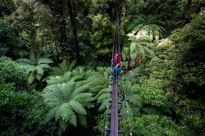 The Ultimate Canopy Zipline Experience Private Tour From Auckland - Inclusions and Amenities