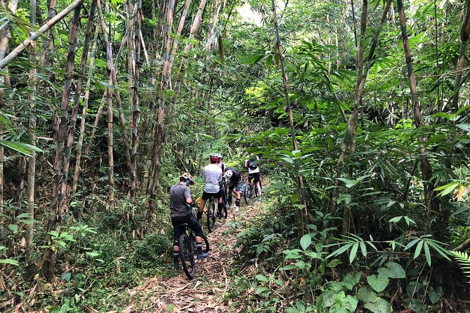 The Volcano Trail - Highlights of the Experience
