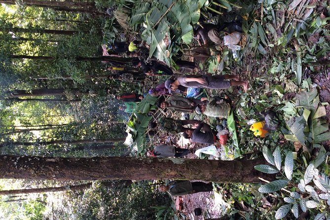 The Wild Explorer - 3 Days Forest Trek With Homestay and Camping - Daily Activities