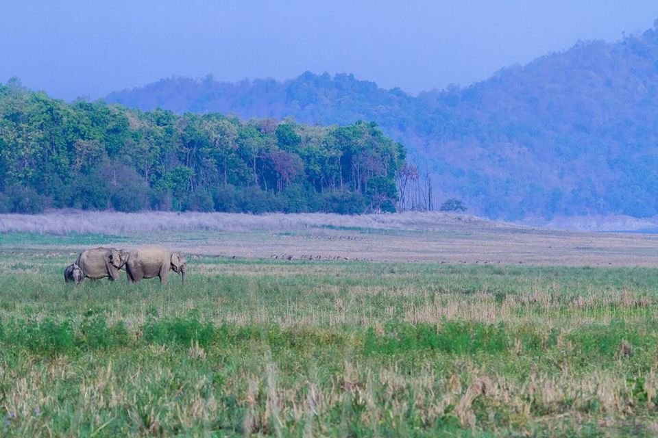 Three Days Jim Corbett National Park Tour - Detailed Itinerary