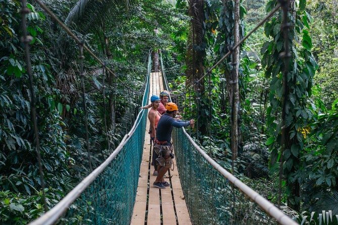 Thrilling Zipline Adventure at Bocawina Rainforest - Course and Experience Details