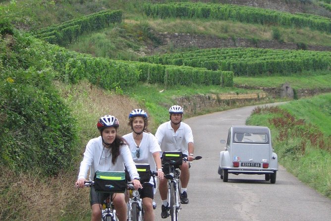 Through Alsace Vineyards and Wine Villages Private Bike Tour - Itinerary Highlights