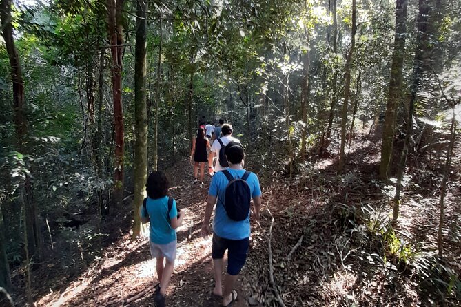 Tijuca National Park and All Its Wonders - Detailed Itinerary and Logistics