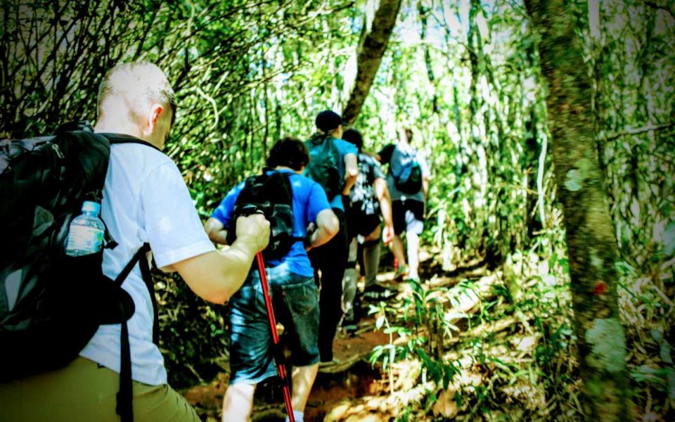 Tijuca National Park Small-Group Hike to Pedra Bonita - Hiking Experience and Itinerary