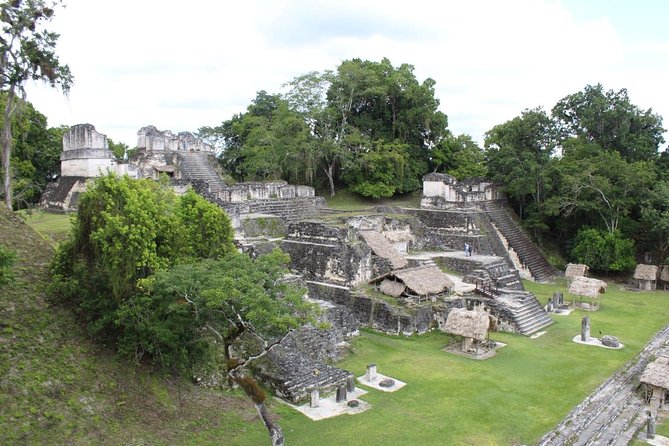 Tikal VIP Exclusive Tour From Flores Region - Transportation and Logistics