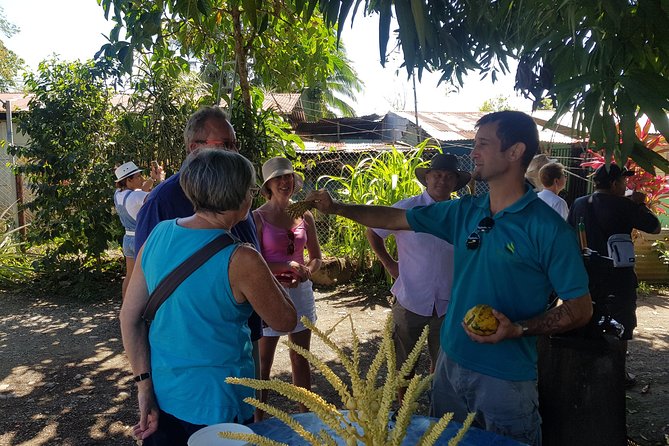 Tortuguero Canals Including Playa Bonita and Puerto Limon Highlights - Accessibility Considerations
