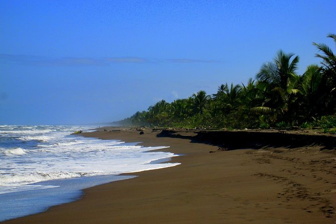 Tortuguero National Park and Canals Day Trip From San Jose - Pickup Locations and Accessibility