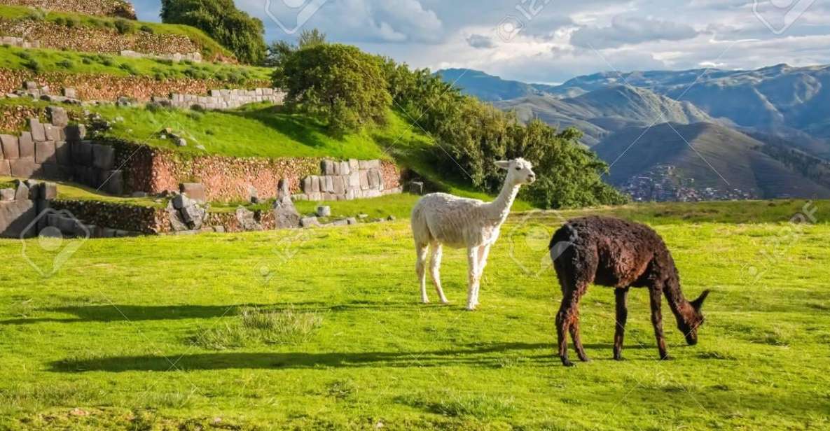 Tour Cusco 7DAYS 6nights | Machu Picchu | Qeswachaka Bridge - Itinerary Overview