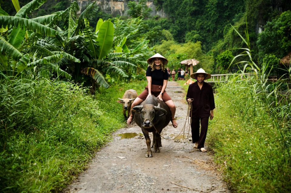 Tour Experience Riding Buffalo,Fishing, Boating and Mua Cave - Location and Itinerary