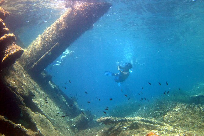 Tour in Rubber Dinghy and Snorkeling in the Protected Marine Area of Tavolara - Inclusions and Amenities