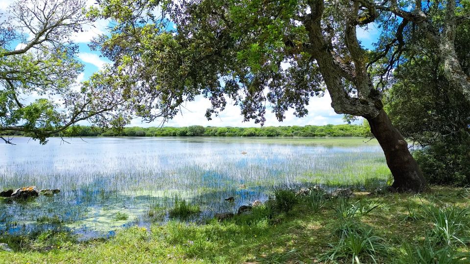 Tour Nature & Wildlife From Cagliari - Traverse the Sarcidano Hills