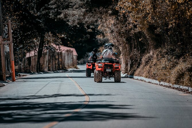 Tour of Lookouts on ATV - Pricing Details
