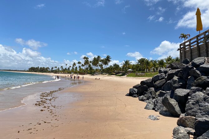 Tour on Forte and Guarajuba Beaches, Leaving Salvador-Bahia - Transportation Information