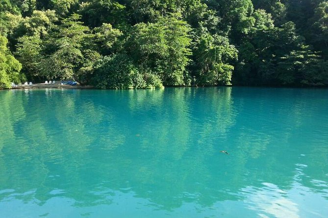 Tour to Fern Gully and Konoko Falls and Park - Exploring Konoko Falls
