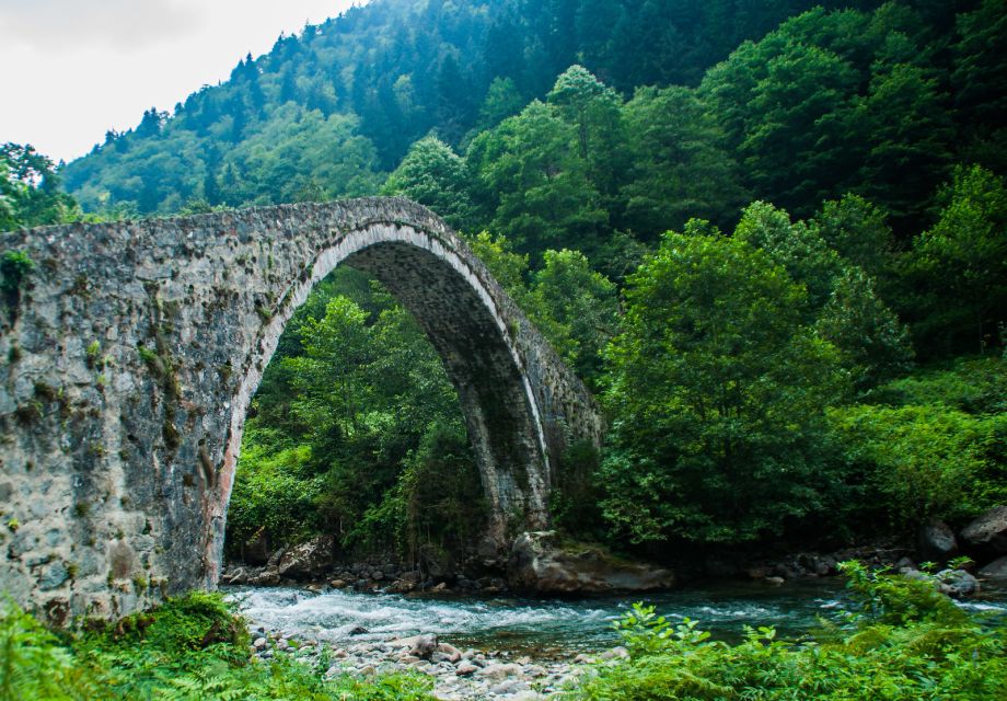 Trabzon: Ayder Highland Mountains Day Trip With Lunch - Pricing Details
