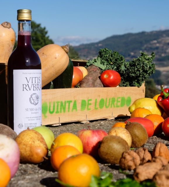 Traditional Cooking Class and Farm Tour in the Douro Valley - Farm Tour and Tastings