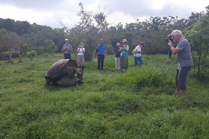 Transfer Airport-Hotel in Galapagos Santa Cruz With Visit to Giant Tortoises - Tour Schedule and Accessibility