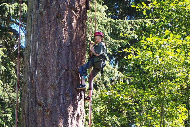 Tree Canopy Climbing on Lopez Island - Inclusions of the Climb