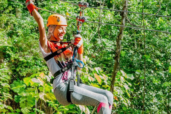 Treetop Zipline Experience From Castries - Pricing and Booking Information