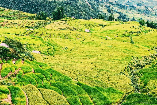 Trekking Sapa 2 Days 1 Night - Accommodation Details